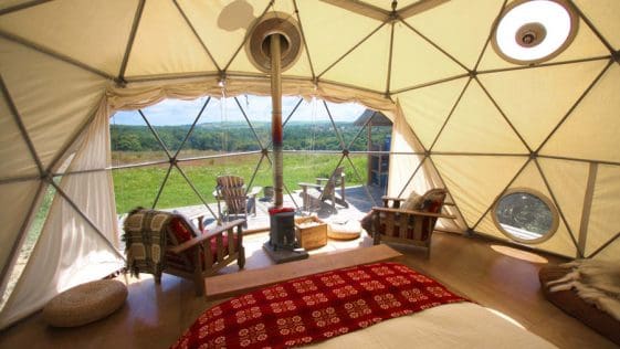 fforest dome 2