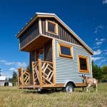 gnomadik micro cott age 1