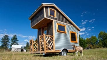 gnomadik micro cott age 1