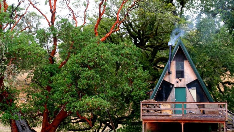 chicken tender cabin 1