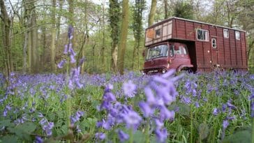 lovestruck housetruck 1