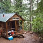 tiny cabin in the woods 1
