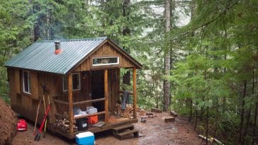 tiny cabin in the woods 1