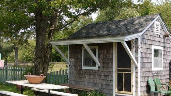 tiny shed turned guest house 1