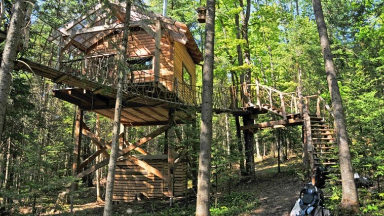 les toits due monde treehouse 1