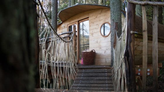 gwdy hw treehouse 1