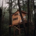 the wee treehouse 1