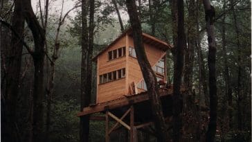 the wee treehouse 1