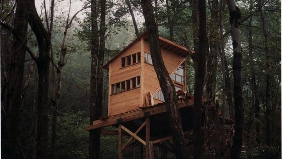 The Wee Treehouse 14 the wee treehouse 1