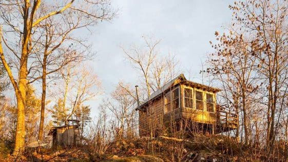muse cabin 7