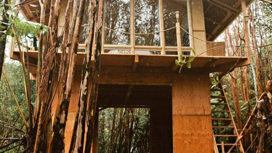 Tiny House on the Big Island 4 hawaii treehouse 1