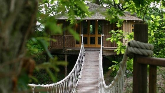 bensfield treehouse 1