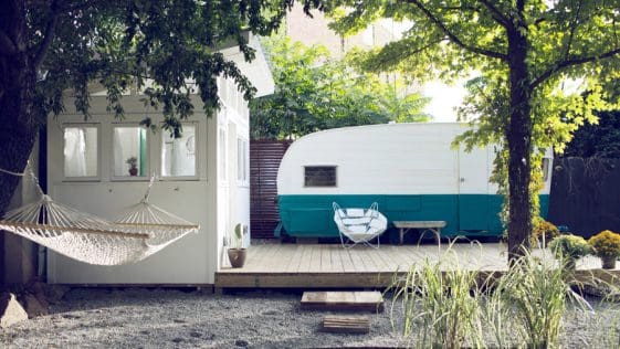 backyard shasta 1