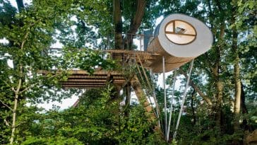 djuren treehouse baumraum 1