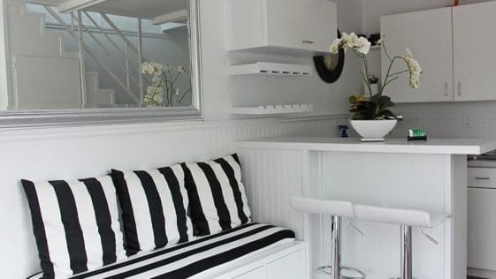 the eagle microhome 2