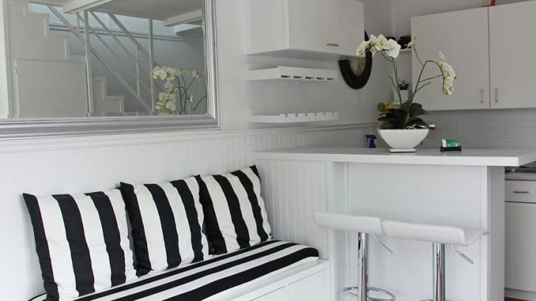 the eagle microhome 2