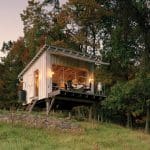 A charming off-grid cabin surrounded by lush forest, showcasing its elevated structure on stilts for protection against wildlife.