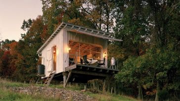 A charming off-grid cabin surrounded by lush forest, showcasing its elevated structure on stilts for protection against wildlife.