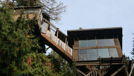 cedar creek treehouse 1