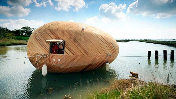 exbury egg 3