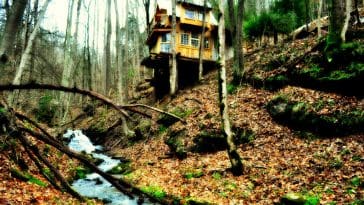 green mountain treehouse 1