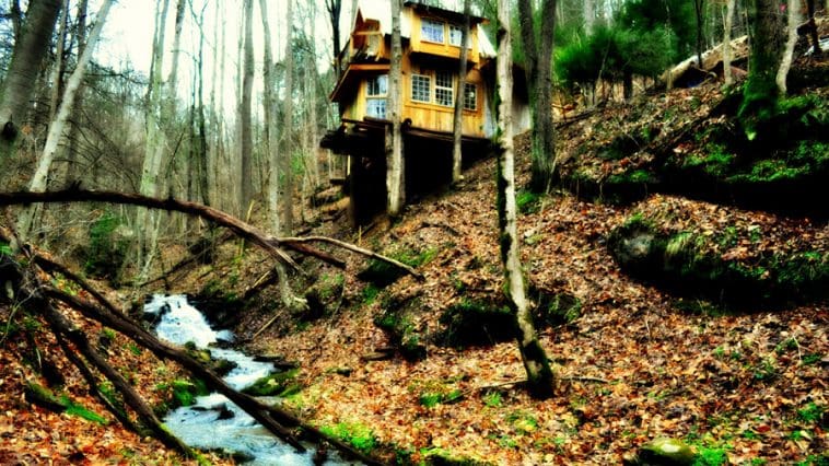 green mountain treehouse 1