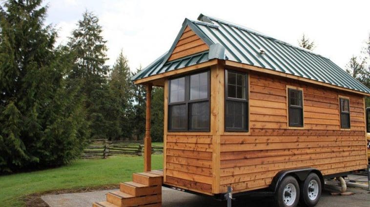 louisiana tumbleweed 1