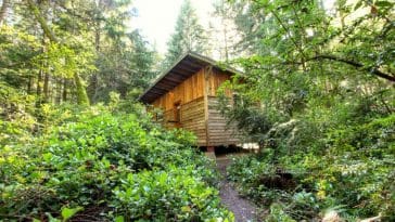 vashon cabin 8