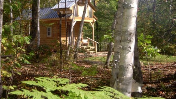 micro log cabin 1