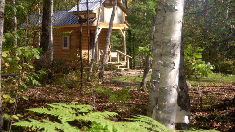 micro log cabin 1