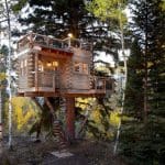 denver treehouse 1