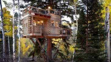 denver treehouse 1