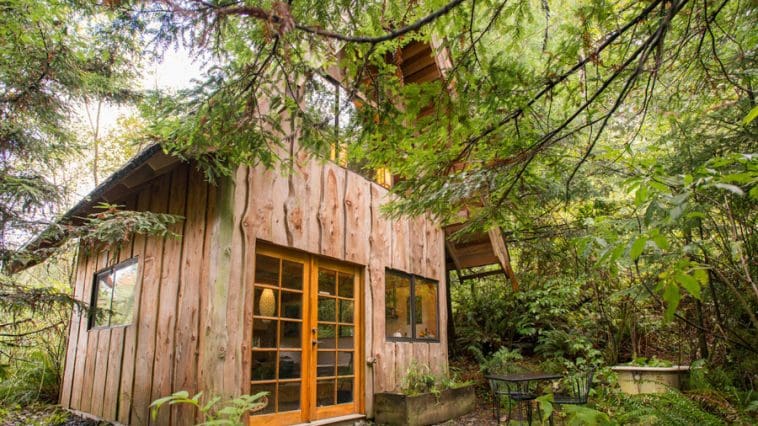 Japanese Forest House – A Small Cabin Made Almost Exclusively from Salvaged Materials