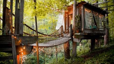 atlanta treehouse 1
