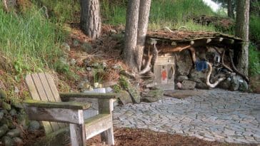 tiny house in the meadow 1