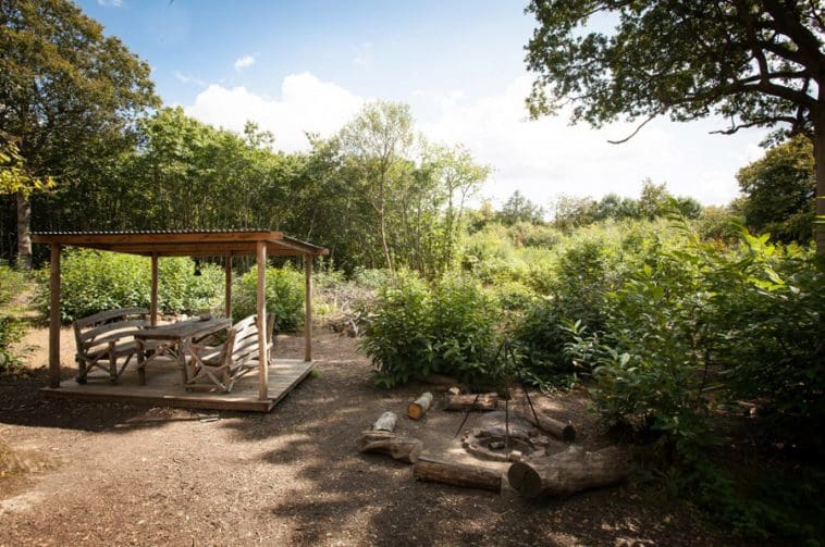 Woodcutter's Cottage Teeny Abode Living Big In A Tiny House