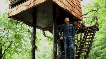 nasua treehouse takashi kobayashi 5