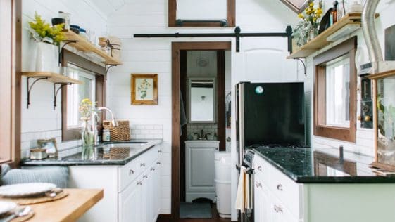 tiny heirloom 2 3