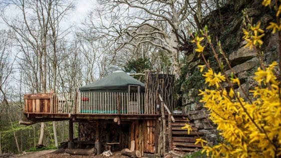bramblewood yurt 1