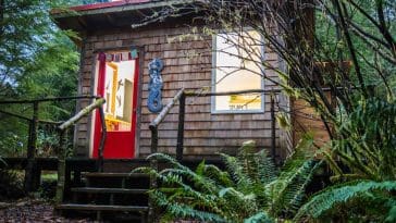 thimbleberry creek cabin 1