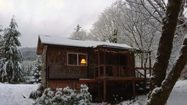 quilcene cabin 1