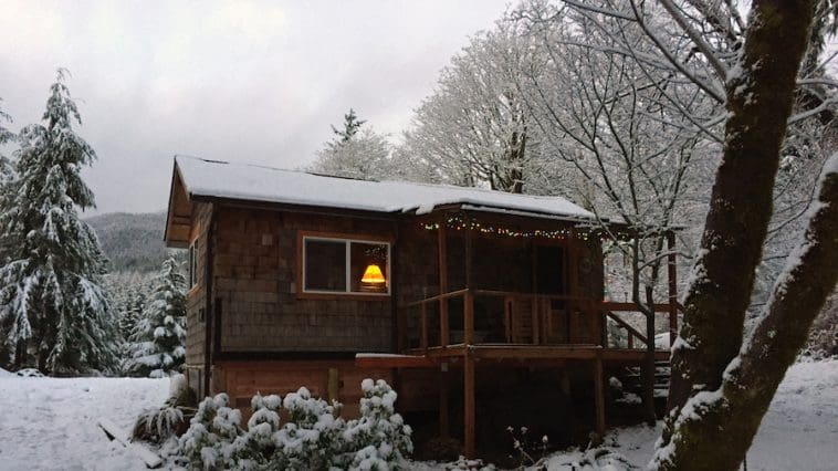 quilcene cabin 1