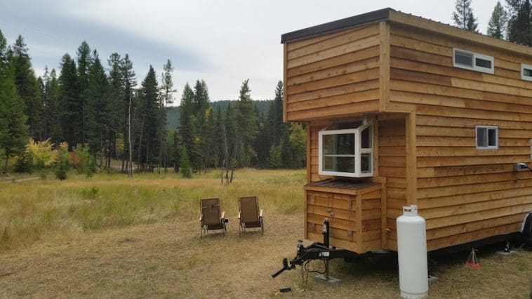 2 dogs 1 cat tiny house 1