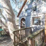 swallowtail treehouse 8