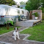 1979 airstream 1