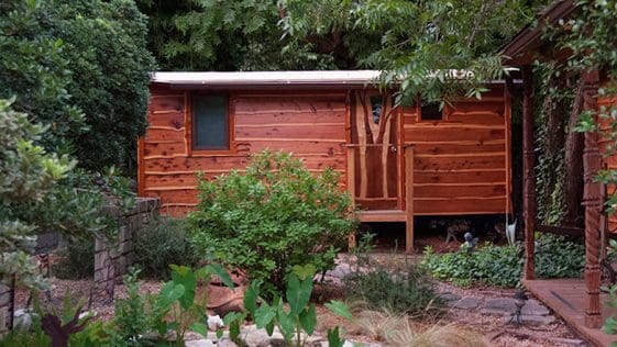 treecycle austin 1