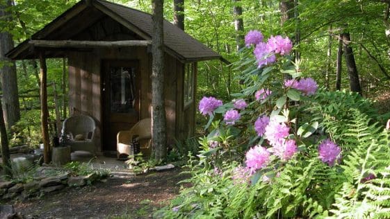 Upper Tupper 1 ithaca cabin 1