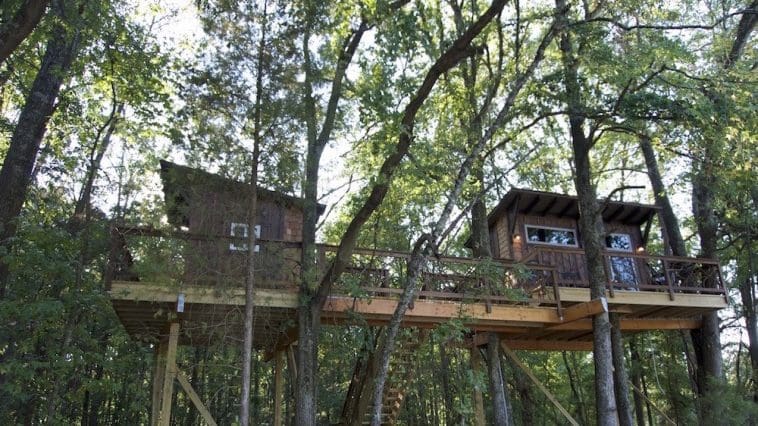 big nick cherry treesort treehouse china grove north carolina 1