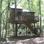 miss molly treehouse cherry treesort north carolina 1