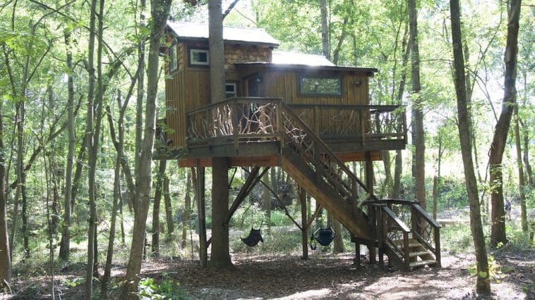 miss molly treehouse cherry treesort north carolina 1